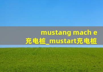 mustang mach e充电桩_mustart充电桩